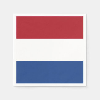 Nederländerna Flagga Pappersservett