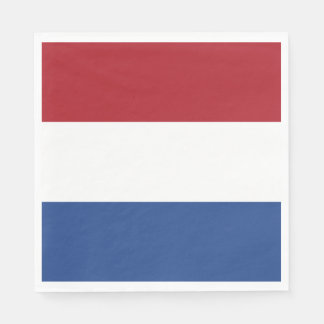 Nederländerna Flagga Pappersservett