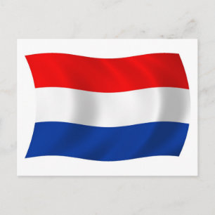 Nederländerna Flagga Postkort Vykort