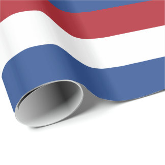 Nederländerna Flagga Presentpapper