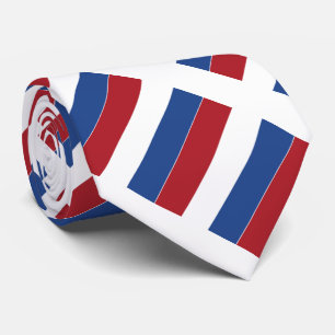 Nederländerna Flagga Slips