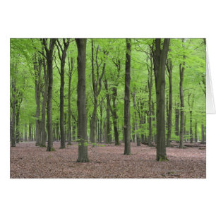 Nederländerna Forest Hälsningskort