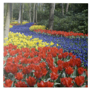 Nederländerna, Holland, Lisse, Keukenhof Gardens Kakelplatta