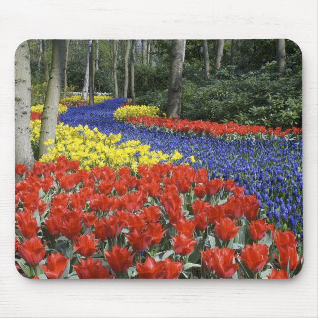 Nederländerna, Holland, Lisse, Keukenhof Gardens Musmatta (Framsidan)