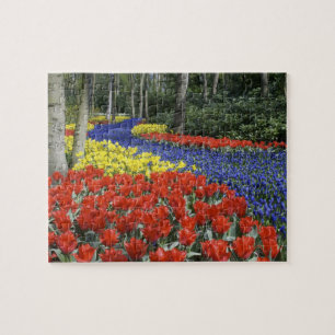 Nederländerna, Holland, Lisse, Keukenhof Gardens Pussel
