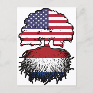 Nederländerna Holländska Amerikan USA Förenta Stat Vykort
