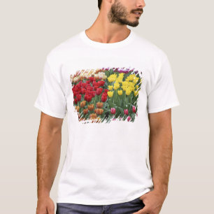 Nederländerna, Keukenhoff Gardens, tulpaner. T Shirt