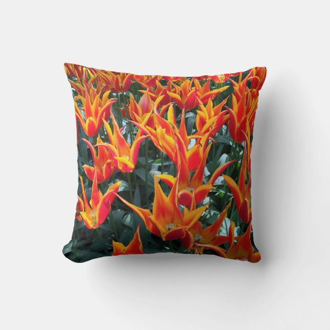 Nederländerna Tulips Keukenhof Pillow Europe Kudde (Framsida)