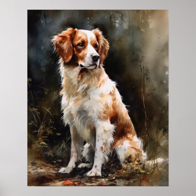 Nederlandse Kooikerhondje Hund Art Print Poster (Framsidan)