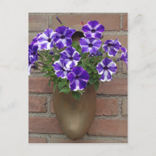 Nederländsk blogg med Lila Blue White Violet på Wa Vykort