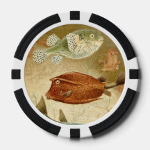 Nederländska Aquatic