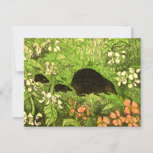 Nederländska Art nouveau Hedgehog och Spädbarn Vykort