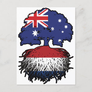 Nederländska australiska Australien Träd Roots Vykort