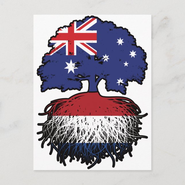 Nederländska australiska Australien Träd Roots Vykort (Framsida)