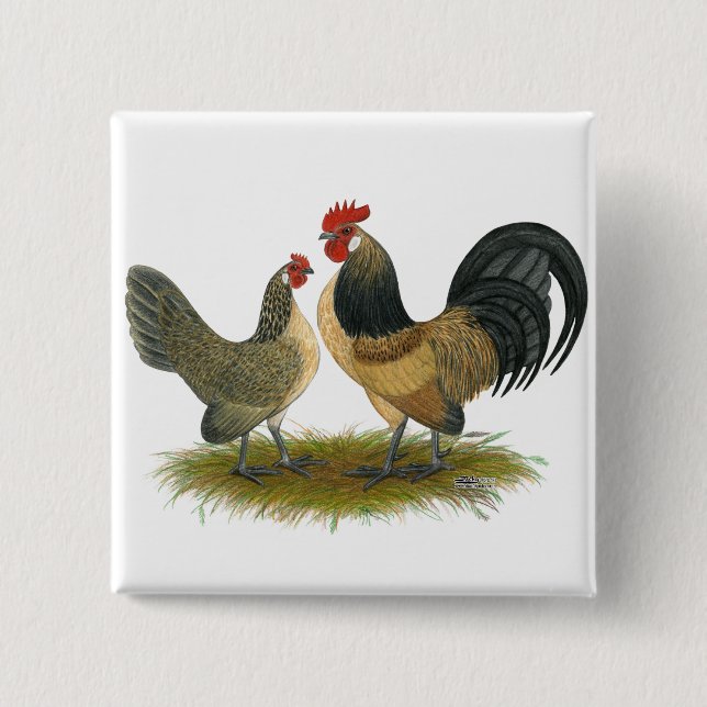 Nederländska bananer: Blue Quail Knapp (Framsida)