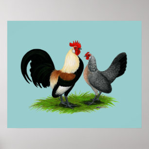 Nederländska Bantams: Cream Light Brown Poster