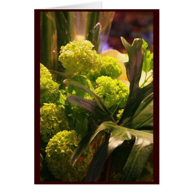 Nederländska blommor OBS kort (Framsidan)