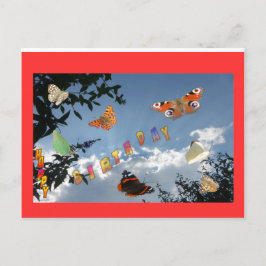 Nederländska Butterflies Red Grattis på födelsedag Vykort