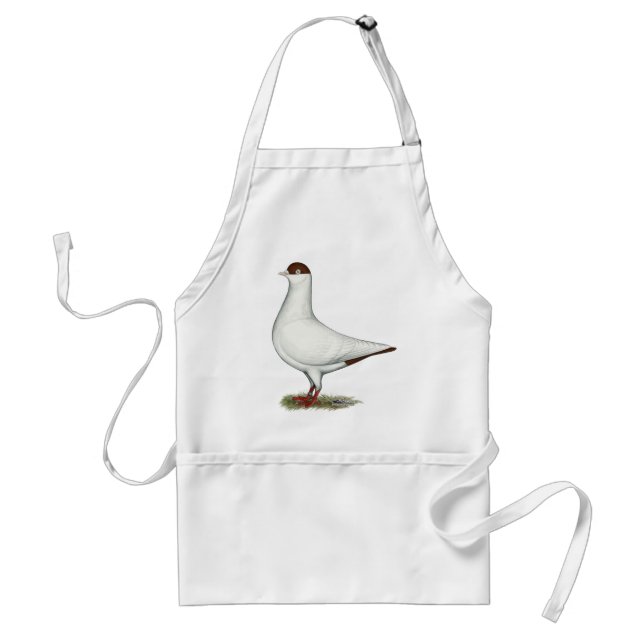 Nederländska Helmet Pigeon Förkläde (Framsidan)