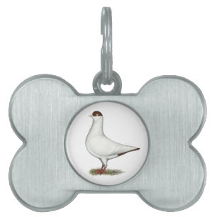 Nederländska Helmet Pigeon Namnbricka Husdjur