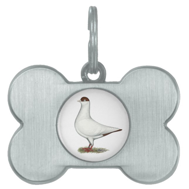 Nederländska Helmet Pigeon Namnbricka Husdjur (Framsidan)