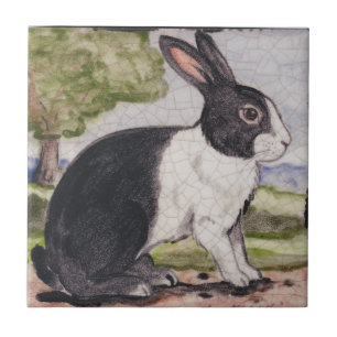 Nederländska kaninbunny Black & White Ligcape På Kakelplatta