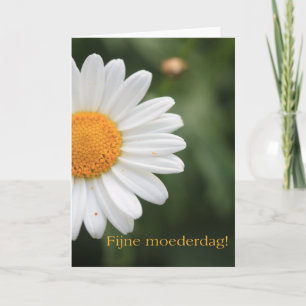 Nederländska Lycklig Mors dag Kort