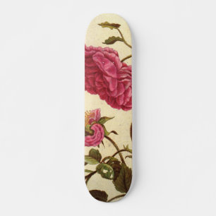 Nederländska Ro Skateboard