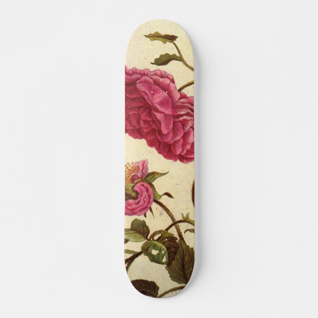 Nederländska Ro Skateboard (Framsida)