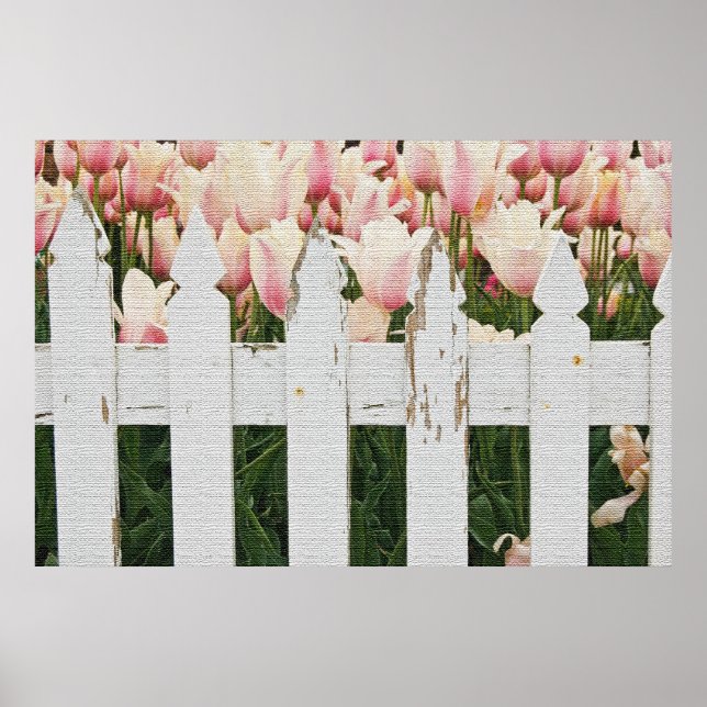 Nederländska Rosa Tulip Garden Poster (Framsidan)