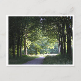 Nederländska Salland-regionen Westerveldse Bos-sko Vykort