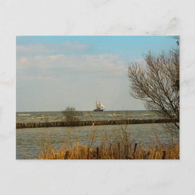 Nederländska segelfartyg på Ijselmeer Vykort (Framsida)