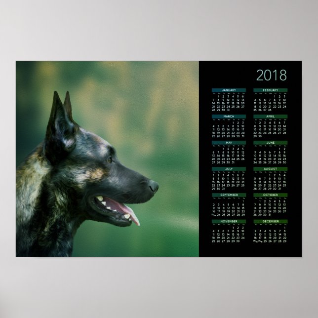 Nederländska Shepherd - Dutchie Calendar 2018 Poster (Framsidan)
