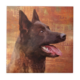 Nederländska shepherd - Dutchie Illustration Kakelplatta