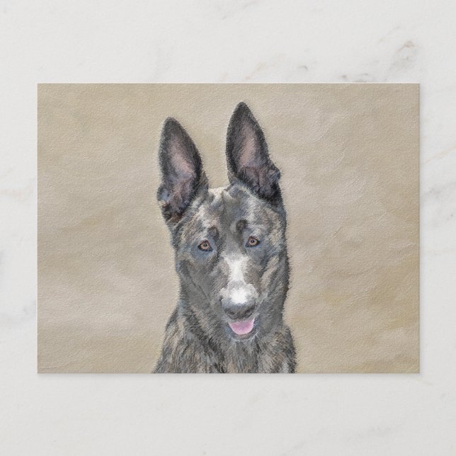 Nederländska shepherd Painting - Cute Original Hun Vykort (Framsida)