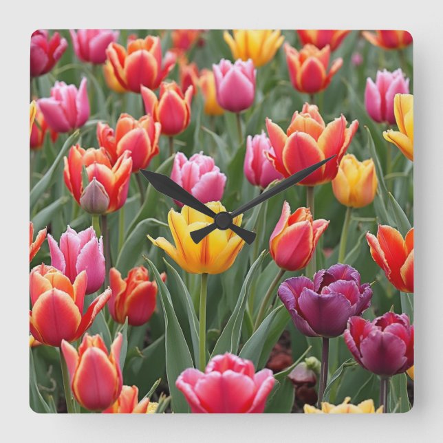 Nederländska tulpaner fyrkantig klocka (Framsida)
