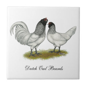 Nederländska Uggla Beard Chickens Kakelplatta