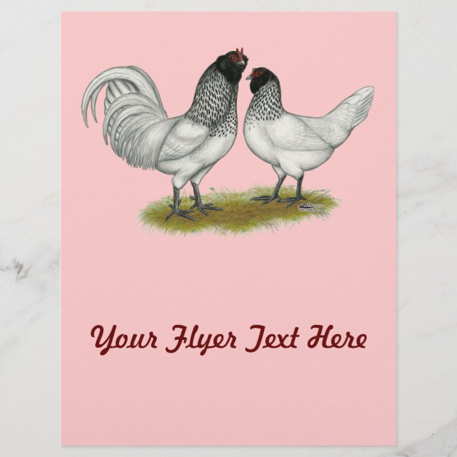 Nederländska Uggla Beard Chickens Reklamblad (Framsidan)