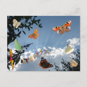 Nederländskt vykort för Butterflies Grattis på föd