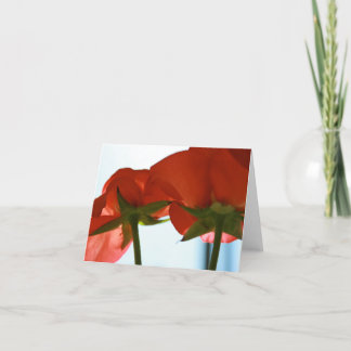 Nedersta kort för röd ros