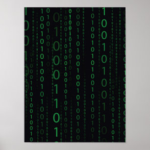 NedgÃ¥ende binärt kodifierar Poster