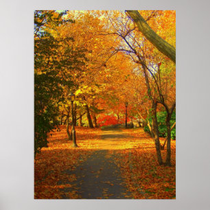 Nedgång i Central Park 06 27 Poster