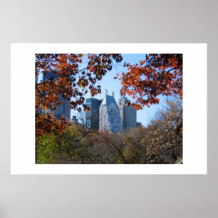 NEDGÅNG I CENTRAL PARK NYC fotografiaffisch Poster