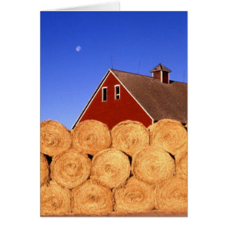 Nedgång på lantgården hälsningskort