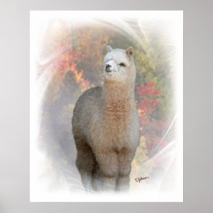 NedgångAlpacatryck Poster