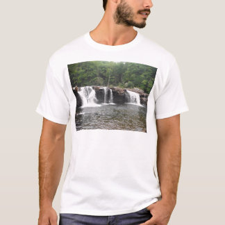 Nedgångar av fusk t-shirt