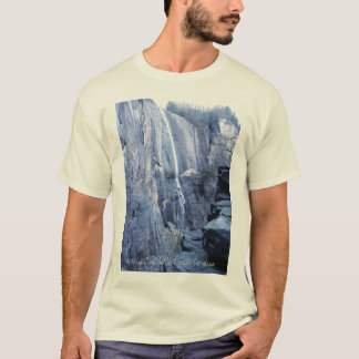 Nedgångar för Hickorynöt, North Carolina Tee Shirt