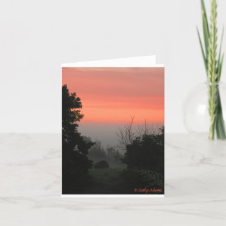 NEDGÅNGAR I LUFTEN KORT