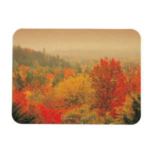 Nedgången landskap, New Hampshire, USA Magnet