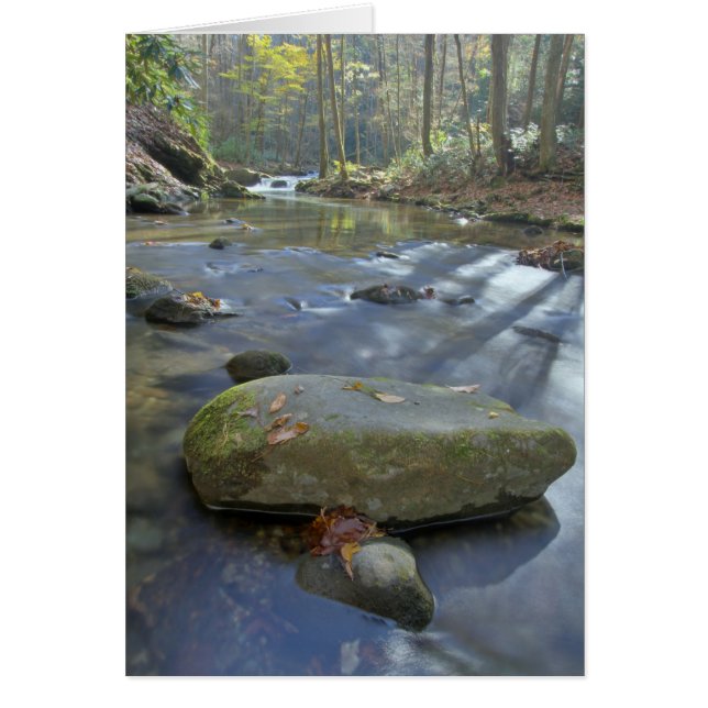 Nedgången strömmer hälsningskort (Framsidan)